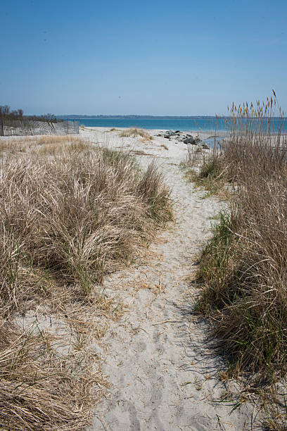 istock Sandy Trail Through Dune Grass to a Peaceful Ocean View 2212661782