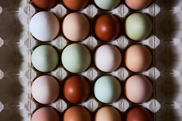 istock Farm chicken eggs in a cardboard eco box 2212661893
