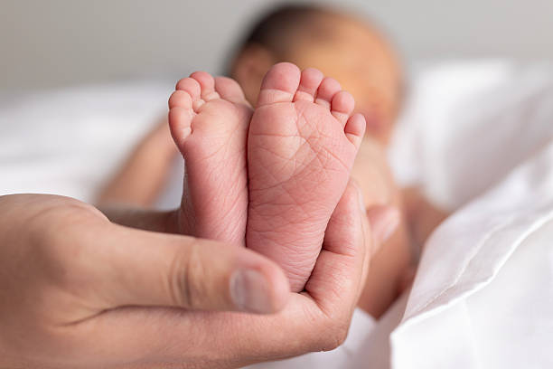 istock New Born Portrait. 2212669871