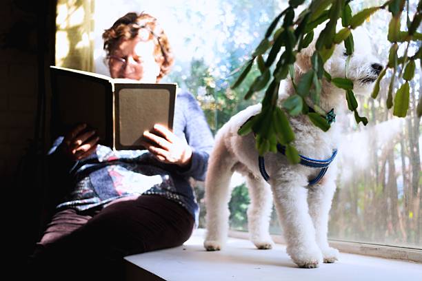 istock elderly woman reads a book with her dog 2212671072