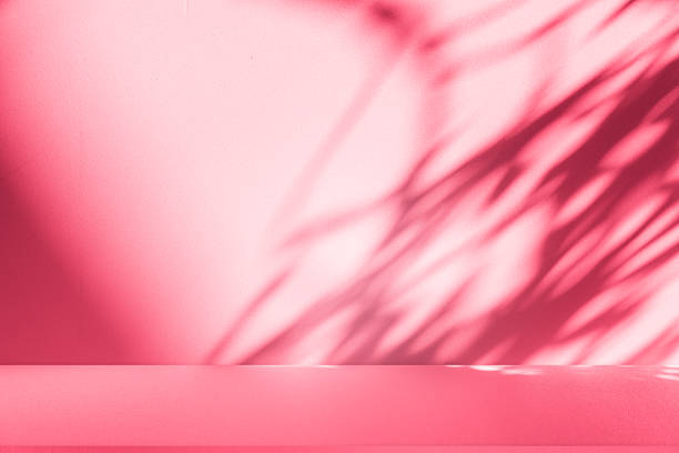 istock Wall interior background, studio, and backdrops show products. with shadow from window color white and pink light. background for text insertion and presentation of product 2212671313