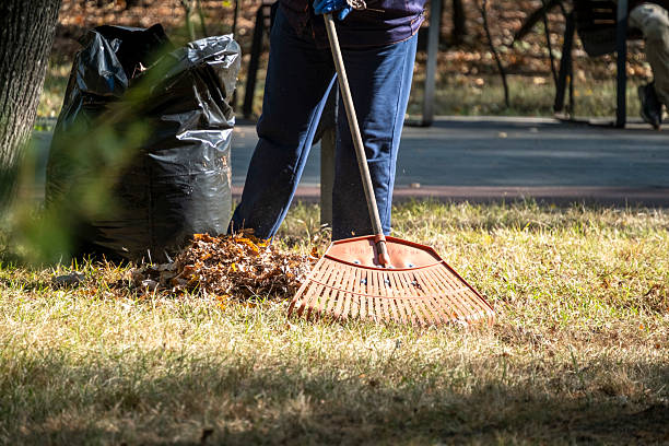 istock Raking Leaves into Pile During Autumn Cleanup 2212672130