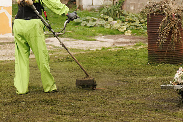 istock Engaging in Gardening Work in Action Focused on Professional Landscape Maintenance Practices 2212674690