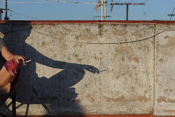 Contemplative Moments A Shadowy Encounter Taking Place on a Rooftop, Under the Sunset Sky