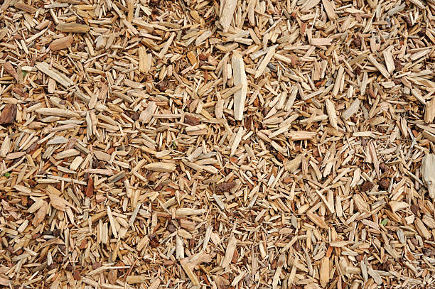 istock high angle view of mulch background in garden 2212675450