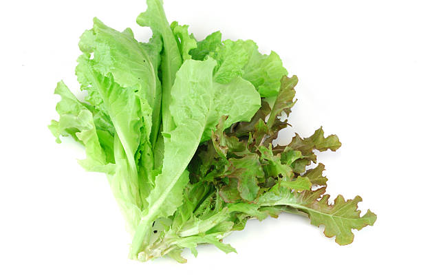 istock fresh lettuce isolated on the white background 2212679036