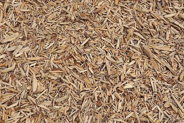 istock high angle view of mulch background in garden 2212679037