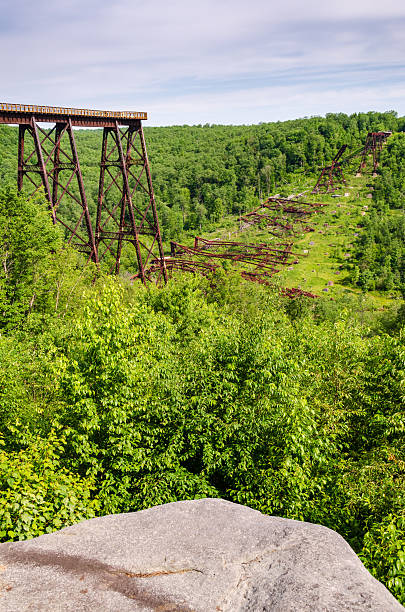 istock Kinzua Bridge State Park in Pennsylvania 2212680134