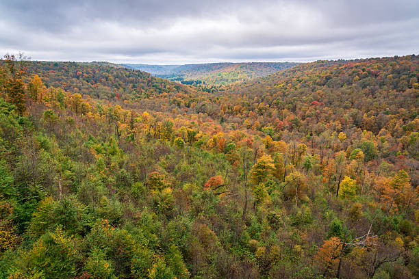 istock Kinzua Bridge State Park in Pennsylvania 2212680180