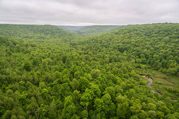 istock Kinzua Bridge State Park in Pennsylvania 2212681258