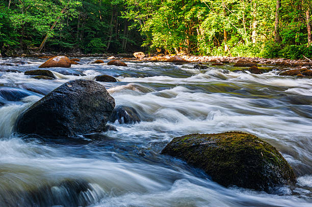 Photo of water flowing in a river during autumn or fall season