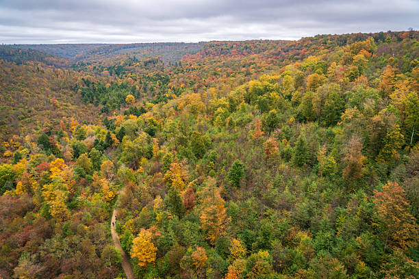 istock Kinzua Bridge State Park in Pennsylvania 2212682003
