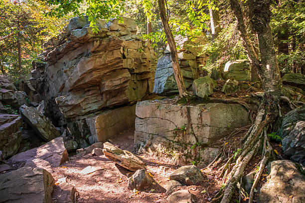 istock Rocky Boulder Trail at Ricketts Glen State Park, in Columbia, Luzerne, and Sullivan counties in Pennsylvania 2212683052