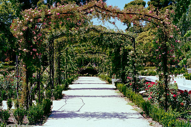 istock Rosegarden in Madrid 2212683300