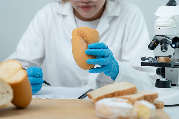 istock Scientist check chemical and fungus in laboratory. Control experts inspect the concentration of chemical residues. hazards, standard, prohibited substances, contaminate, Microbiologist 2212684638