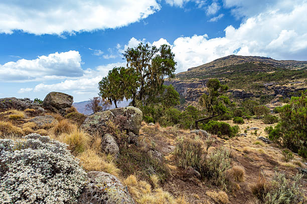 istock Semien or Simien Mountains, Ethiopia, Africa 2212686419