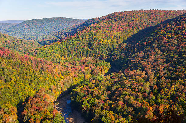 istock Worlds End State Park, State park in Pennsylvania 2212688399