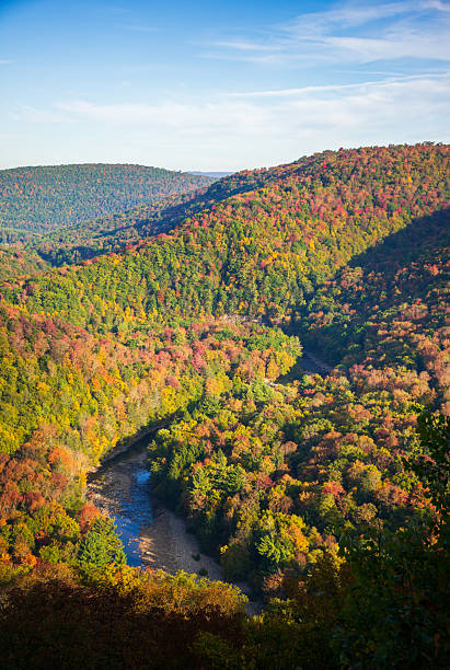 Color image of a mountain stream flowing over rock as afternoon sun illuminates the golden tree leaves as they change in autumn.