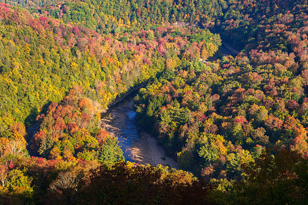 istock Worlds End State Park, State park in Pennsylvania 2212688422