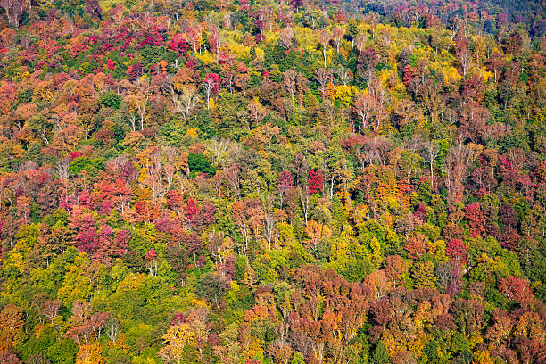 Worlds End State Park, State park in Pennsylvania, USA