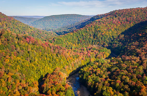 istock Worlds End State Park, State park in Pennsylvania 2212688480