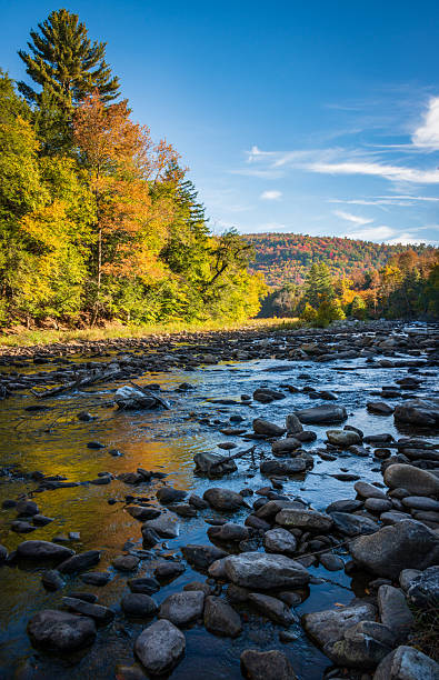 istock Worlds End State Park, State park in Pennsylvania 2212688532