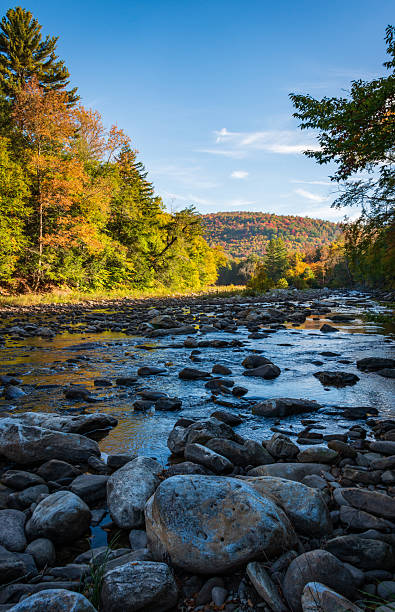 istock Worlds End State Park, State park in Pennsylvania 2212688593