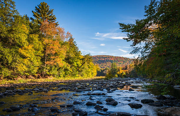 istock Worlds End State Park, State park in Pennsylvania 2212688622