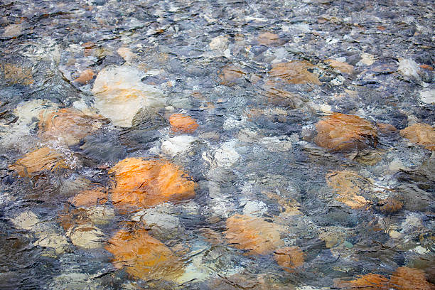 Canada Alberta Banff. National Park,  abstract of stream/river