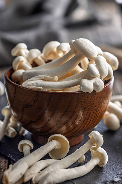 istock Raw white shimeji mushrooms in bowl on cutting board. 2212692059