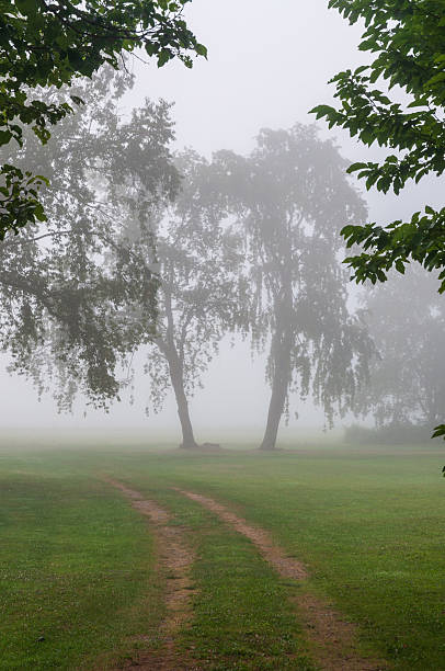 istock Rural Road in Sugar Grove, Pennsylvania 2212692129