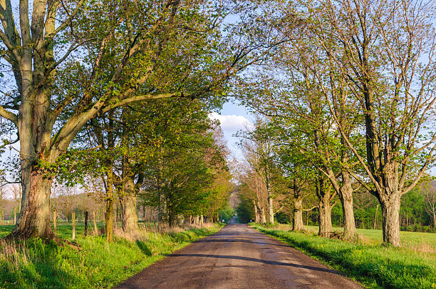 istock Rural Road in Sugar Grove, Pennsylvania 2212692182