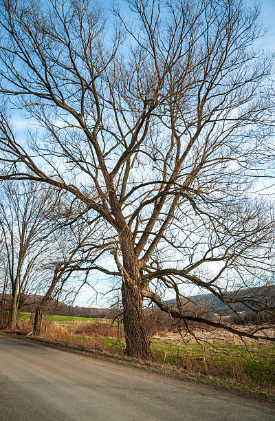 istock Rural Road in Sugar Grove, Pennsylvania 2212692539