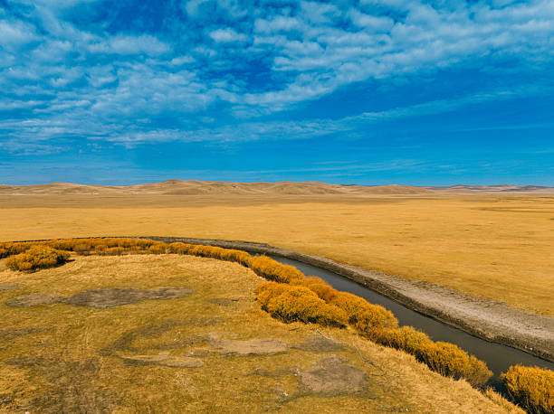 A meandering river is on the grassland