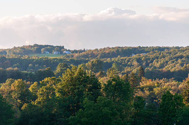 istock Forest Overlook at Sugar Grove, Pennsylvania 2212695017