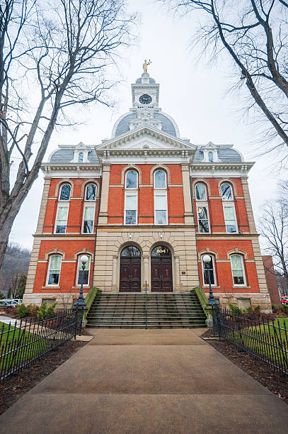 istock The old Warren County Courthouse in Warren, PA 2212695747