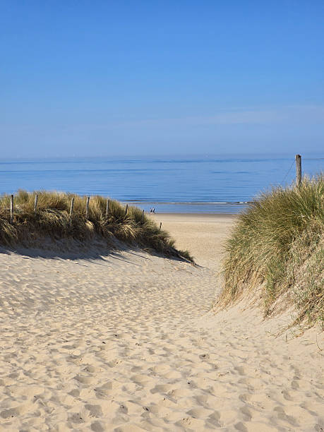 istock Beautiful pathway through sandy dunes leading to serene beach in the Netherlands during clear skies 2212704547