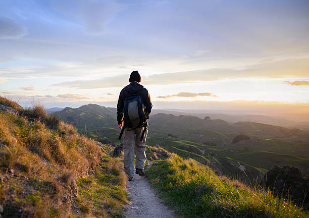 istock Hiking Te Mata Peak. Setting sun casting a warm glow on rolling hills. Hawke's Bay. 2212704679