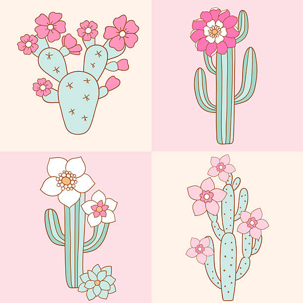 Cute cactus in bloom. Hand drawn vector cacti. Succulent and cactus arrangement. Perfect for tee shirt logo, greeting card, poster or nursery print design. EPS 10 vector file.