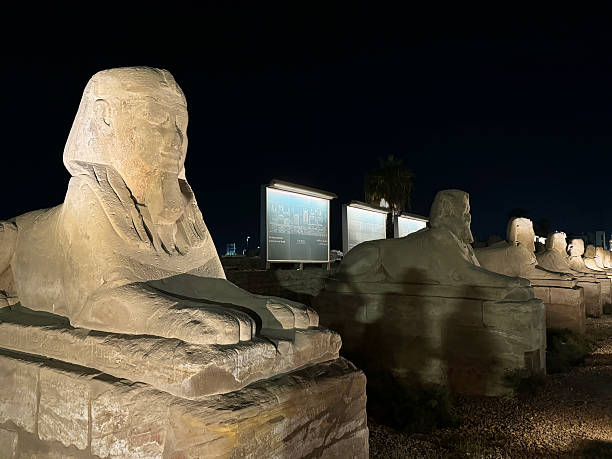 Sphinx in Giza, Cairo