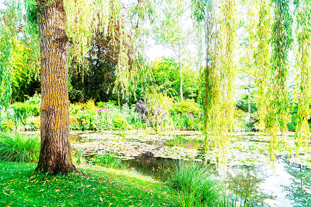 Garden with a river running through it.