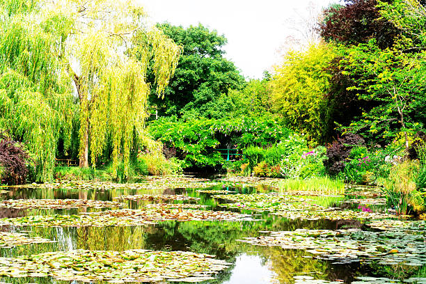 istock Pond with lilies in Giverny 2212706793