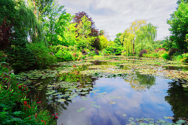 Pond in Claude Monet garden
