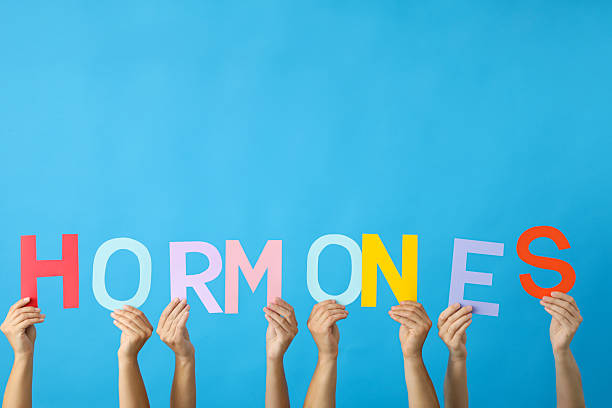istock The word hormones in human hands, on a light background. 2212708452