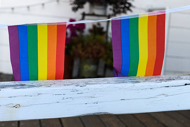 istock Pair of colorful, rainbow striped pride flags 2212711202