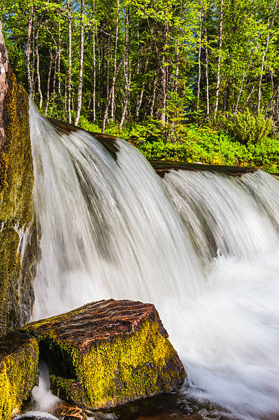 istock Waterfall cascading over mossy rocks in a lush Swedish forest during daylight 2212716653