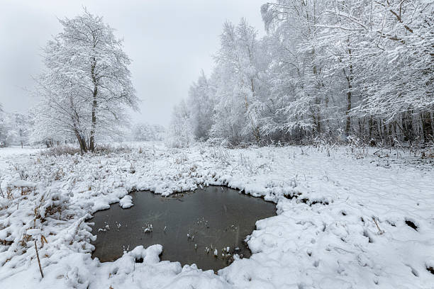 istock Beautiful winter day with white trees 2212716830