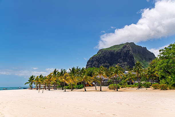istock Idyllic Vacation Scene: Le Morne Brabant Mountain Overlooking a Sandy Beach with Coconut Palms.Panoramic View of the Famous Mountain from the Tropical Beach. 2212717596
