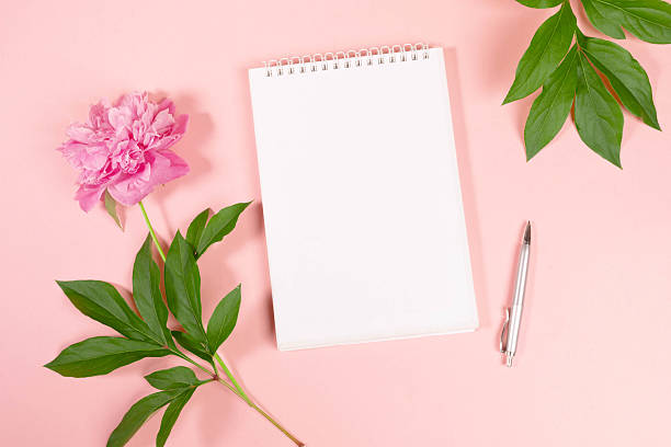 istock Blank notebook with silver pen and pink flowers on pastel background. Top view, flat lay, copy space 2212717728