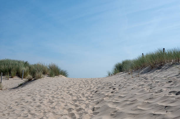 istock Path through the dunes with beach grass on the North Sea coast 2212717975